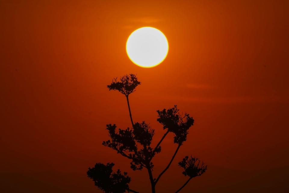 A prolonged and deadly heatwave that has killed at least 48 people in Mexico is headed for the US (Copyright 2024 The Associated Press. All rights reserved)