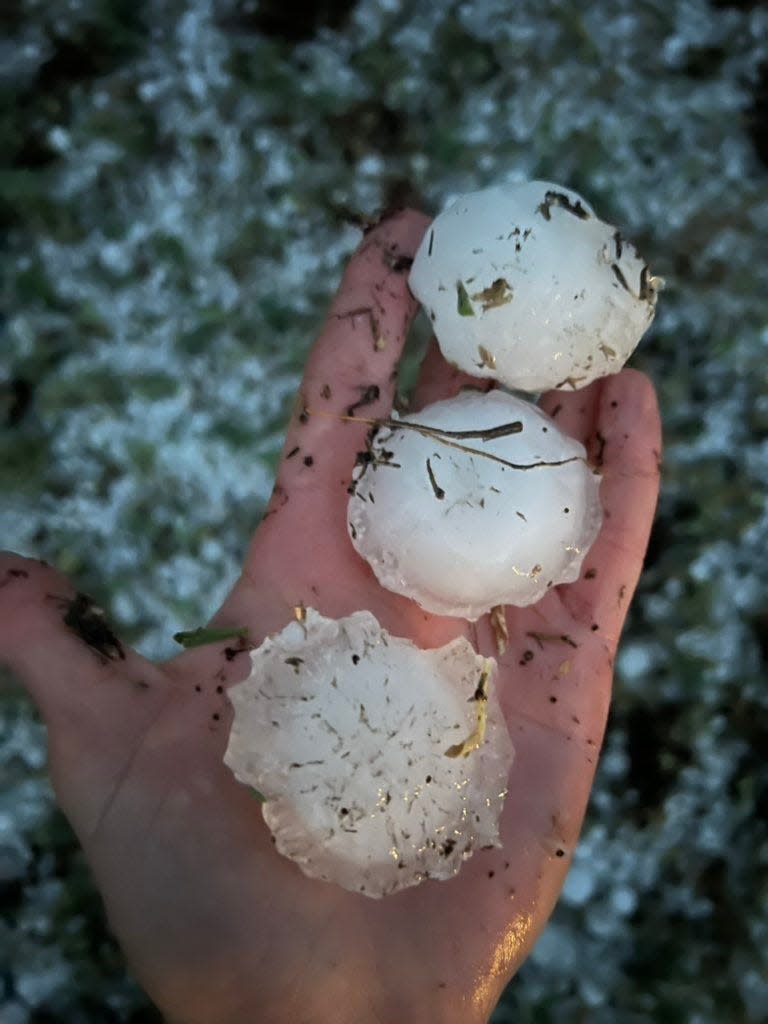 Michael Charnick shared this photo of hail from the July 27, 2022, storm, taken east of Interstate 25 and north of Colorado Highway 14. "Impressive hail of approximately tennis ball sized lingering over 45 mins after the storm east of Fort Collins! Personally some of the largest I have seen in Colorado, only 5 mins from home," Charnick wrote on Twitter.