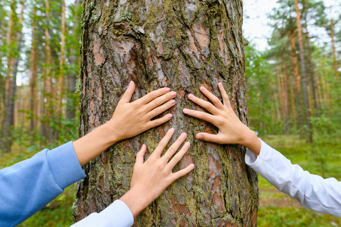 60 nature quotes that capture the beauty of our earth