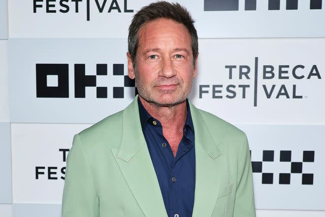 <p>Theo Wargo/Getty</p> David Duchovny