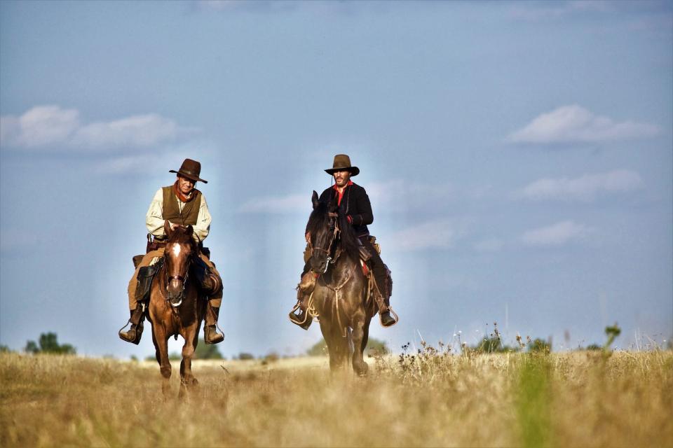 "The Sisters Brothers"