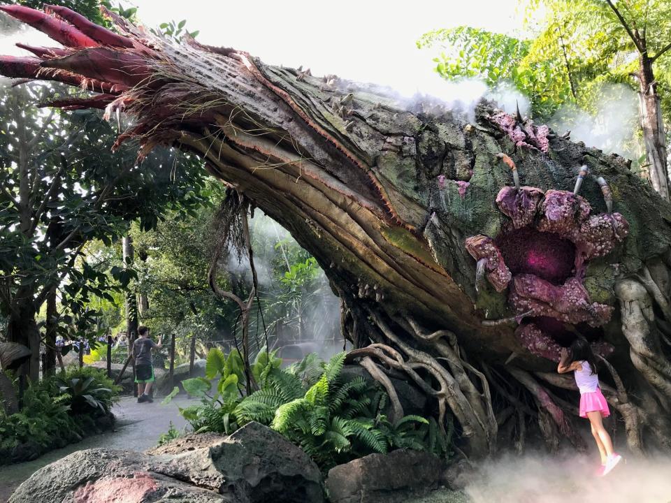 Pandora - The World of Avatar at Disney's Animal Kingdom makes guests feel like they're in another world.