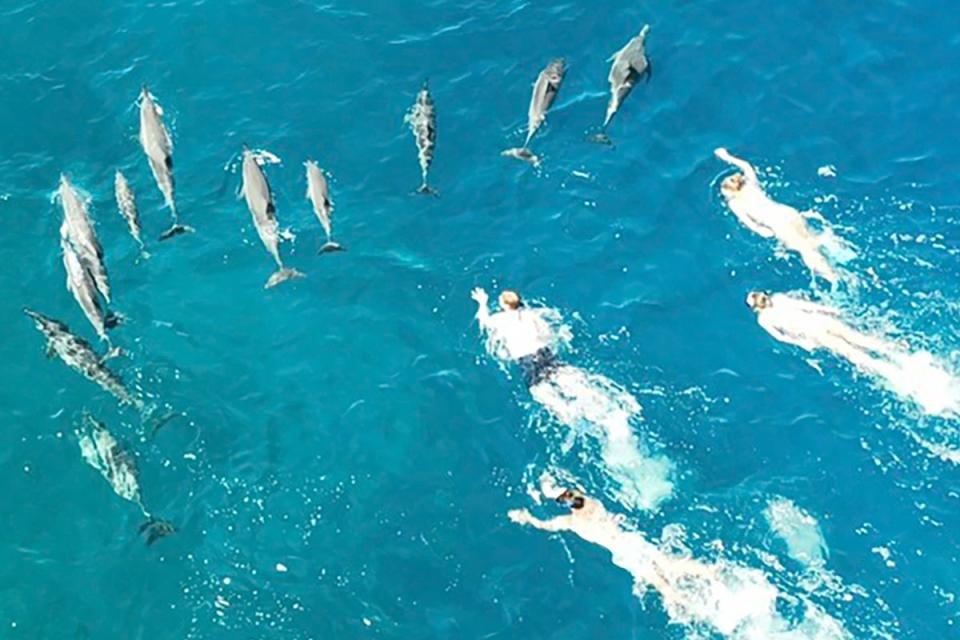 Aerial footage appeared to show snorkelers bothering dolphins in the waters off Hawaii’s Big Island  (AP)