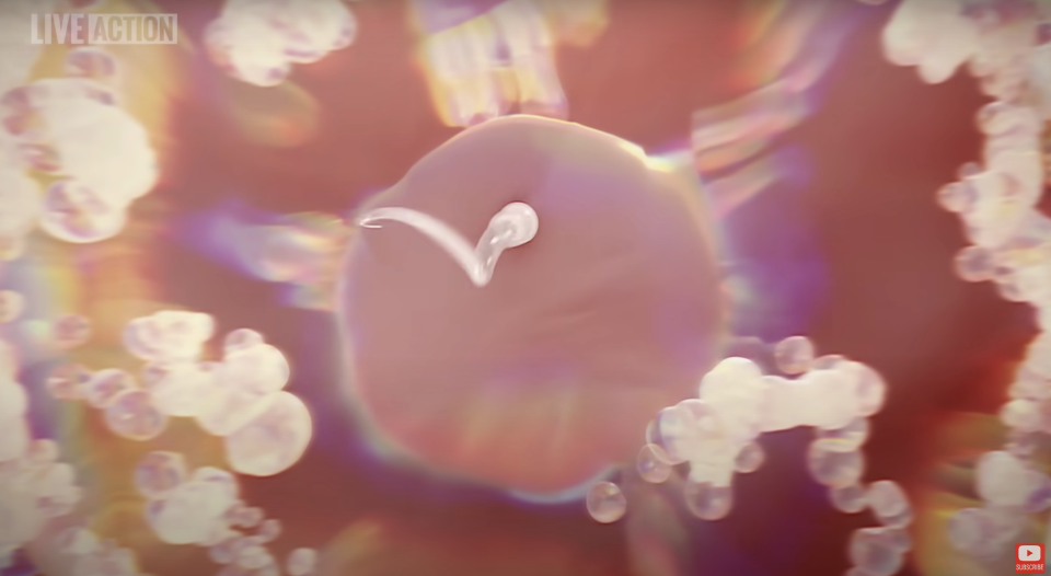 A digital animation of a sperm cell swimming toward an egg, representing fertilization. The background has a soft, abstract design with floating particles