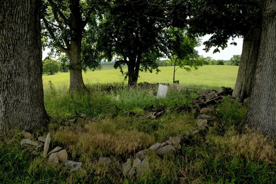 A grove of trees sits on the top of the hill near the Coleman-Desha plantation house in Cynthiana, Kentucky. This cemetery is known as the Desha slave cemetery, though it is not registered with the plantation. 
June 20, 2022