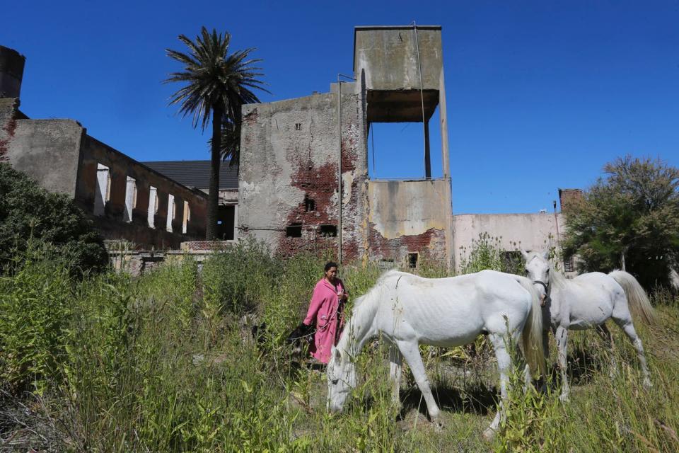 Incendios, malas administraciones, usurpación y robo patrimonial son claves para entender el estado de abandono que vive hoy