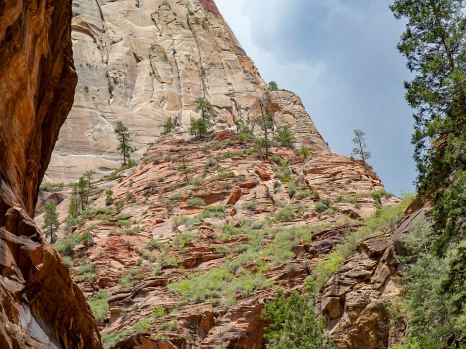 zion national park