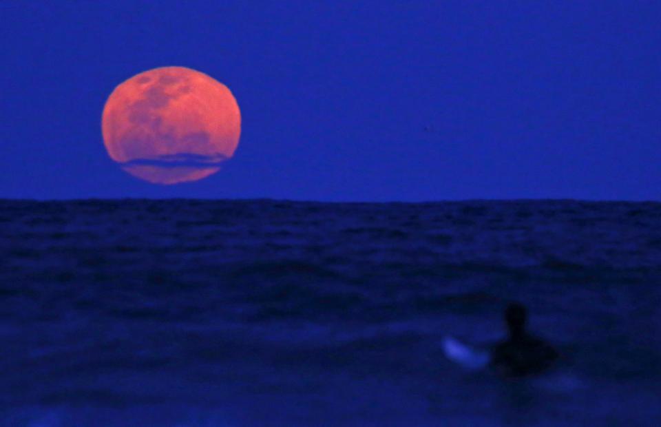 A surfer sits on his board as a supermoon rises in the sky off Manly Beach in Sydney
