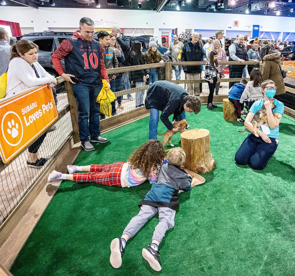 Families enjoy playing with puppies at the Subaru exhibit at the Milwaukee Auto Show on Saturday February 25, 2023 at the Wisconsin Center in Milwaukee, Wis.