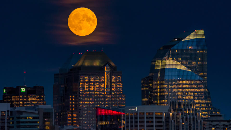 ugc calgary full moon