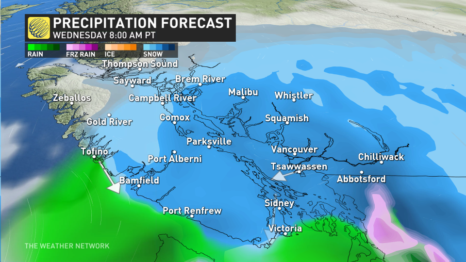 Baron - BC Wednesday am precip - Jan17.jpg