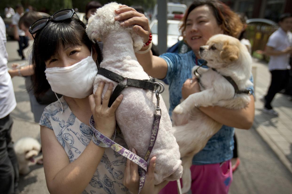 Hunde sind im chinesischen Wenshan nicht gern gesehen. (Symbolbild: AP Images)