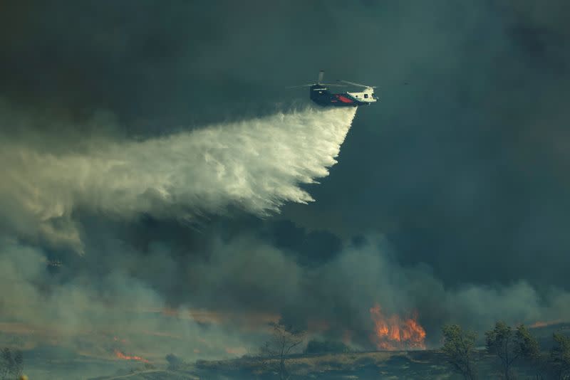 The Bond Fire wildlife in Orange County, California