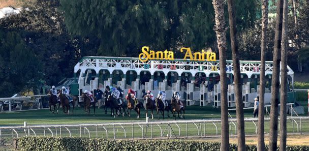 PHOTO: In this Dec. 26, 2020, file photo, horses run out of the gate at the American Oaks turf race during opening day of horse racing at Santa Anita Park in Arcadia, Calif. (Keith Birmingham/Pasadena Star-News via MediaNews Group via Getty Images, FILE)
