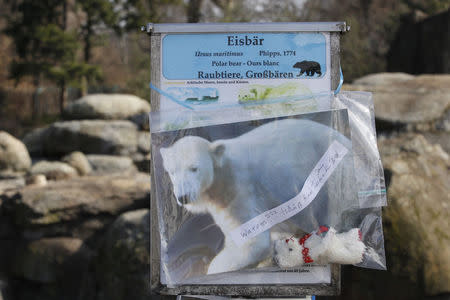 An information board is decorated with items to remember polar bear Knut at the polar bear enclosure in Berlin zoo, March 20, 2011. REUTERS/Tobias Schwarz