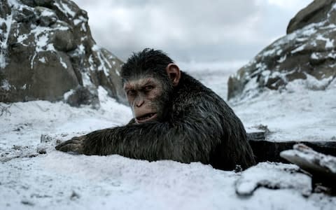Andy Serkis in this summer's War for the Planet of the Apes - Credit: Twentieth Century Fox