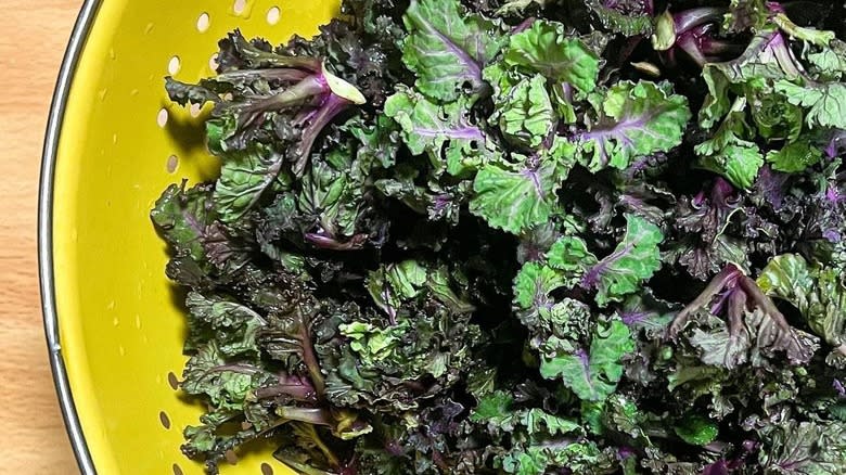 Kalettes in strainer