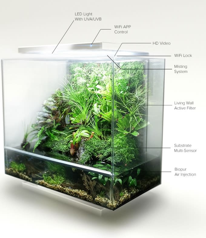 Biopod網路生態箱 從蔬菜、草藥種到熱帶雨林！