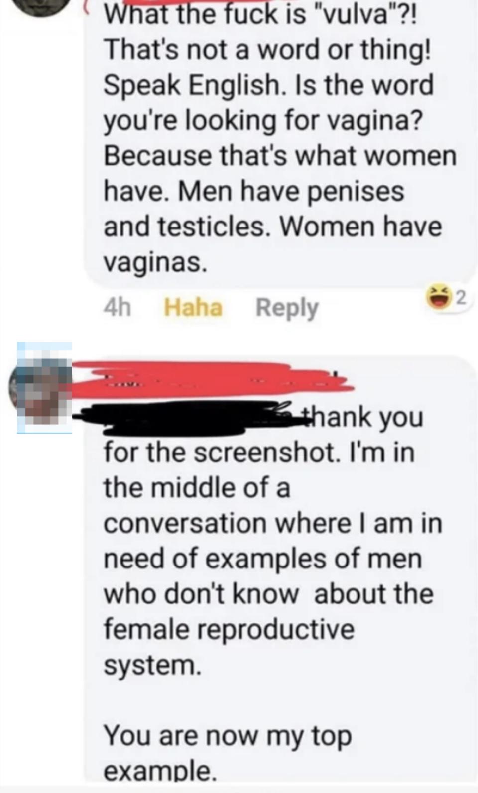 Text in a screenshot expressing confusion over the term "vulva," with comments explaining its meaning and questioning the knowledge of the original poster