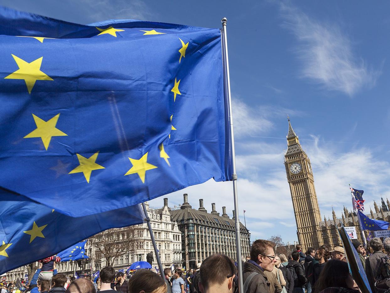 Unite for Europe March, London, UK - 25 Mar 2017: Rex