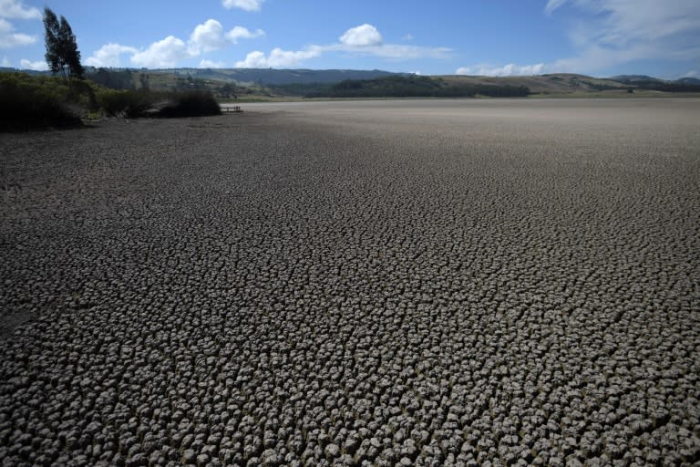 La laguna de Suesca, en el municipio colombiano de Cucunabá, seca debido a la grave sequía provocada por el cambio climático, en una imagen del 9 de marzo de 2021 (Raúl Arboleda)