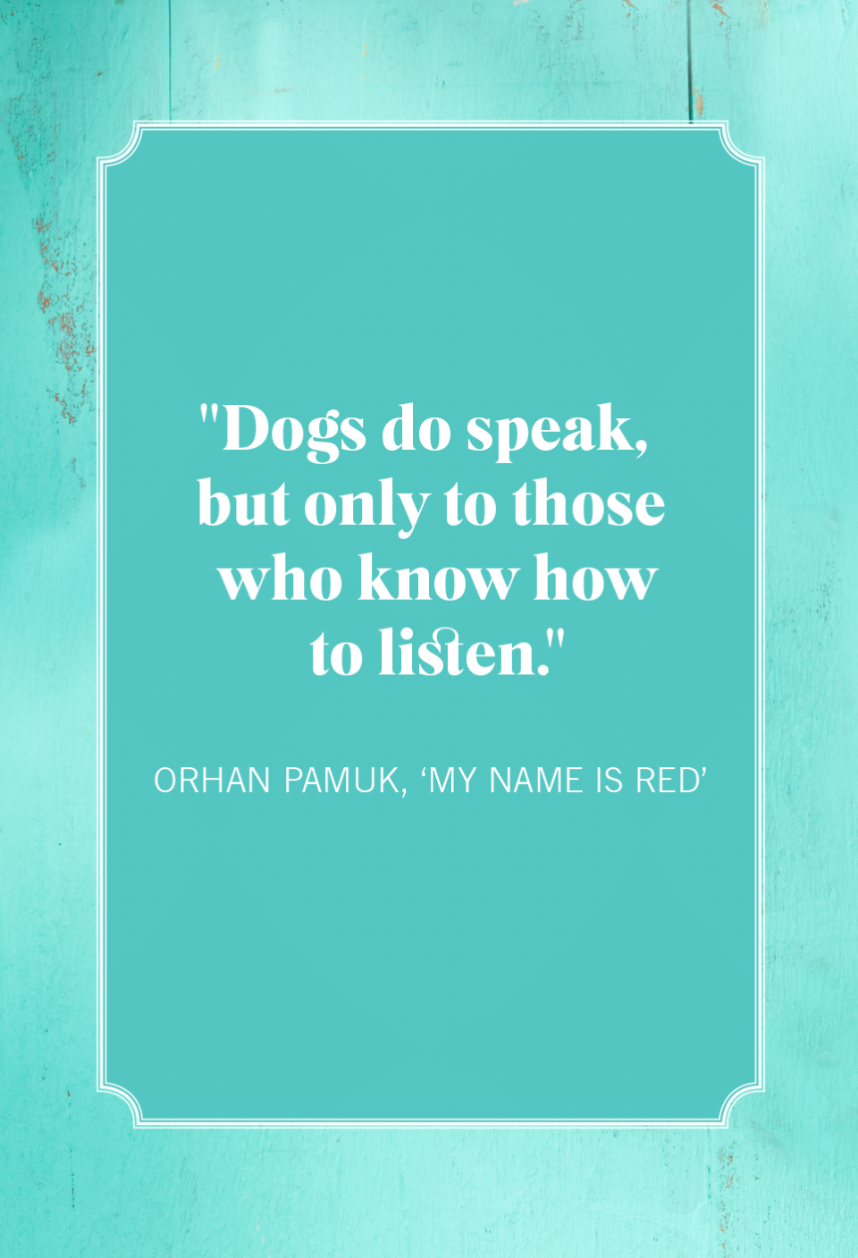 pamuk dog mom quotes