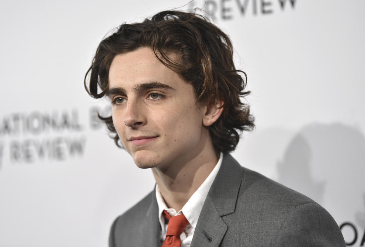 Timothée Chalamet delivers outstanding performance in 'Call Me by