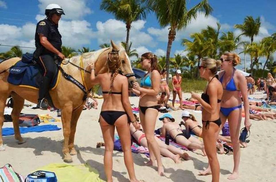 Key West spring breakers stop sunbathing long enough to greet a police horse at Smathers Beach.