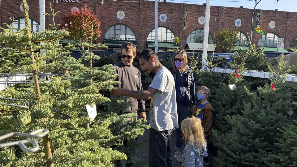 Ian Steplowski and his family shop look Christmas trees with at Crystal River Christmas Trees in Alameda, Calif. on Nov. 26, 2021. Extreme weather and supply chain disruptions have led to shortages and higher prices for both real and artificial Christmas trees this year. (AP/Terry Chea)