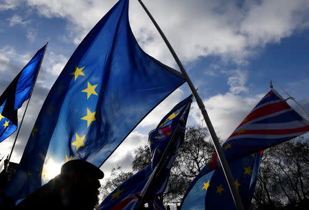 FILE PHOTO - Anti-Brexit protesters stand outside the Houses of Parliament in London, Britain, January 9, 2019. REUTERS/Toby Melville