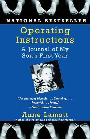 'Operating Instructions' by Anne Lamott