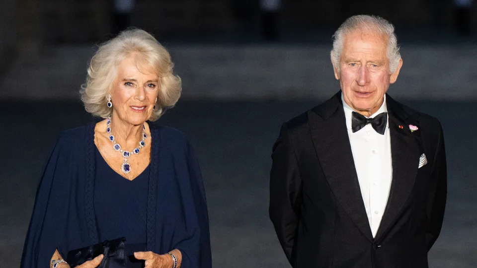 Charles and Camilla at France state banquet