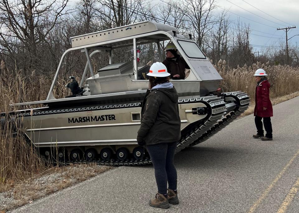 A Marsh Master, a vehicle used to transport employees and equipment, can cut and crush phragmites, a large, perennial reed found in wetlands. The invasive plant is putting the Great Lakes at risk.