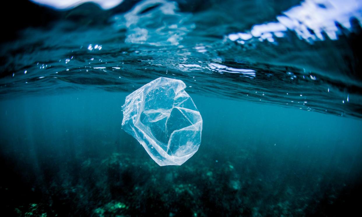 <span>The problem of plastics in the ocean is an example of an issue that went from scientific discovery to broad public awareness in a short timeframe.</span><span>Photograph: mattpaul/Getty Images/RooM RF</span>