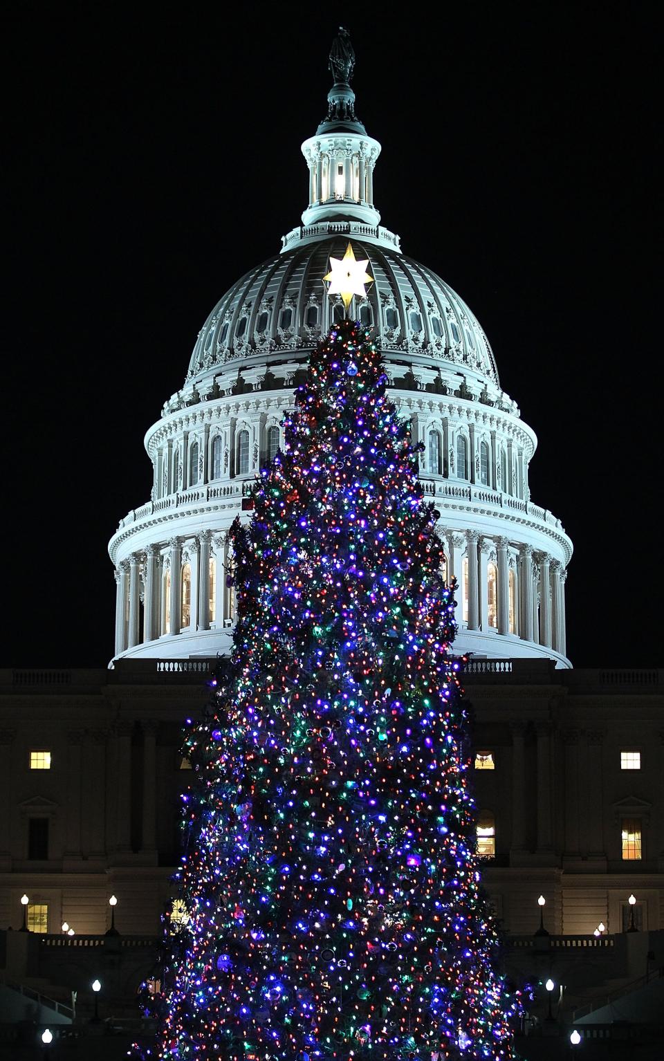 WASHINGTON, DC - DECEMBER 04: The 2012 Capitol Christmas Tree is seen after U.S. Speaker of the House Rep. John Boehner (R-OH) lit it up with Ryan Shuster, a senior at Discovery Canyon Campus in Colorado Spring, Colorado, December 4, 2012 at the West Front Lawn of the U.S. Capitol in Washington, DC. The year's tree is a 65-foot Engelmann spruce from the Blanco Ranger District of the White River National Forest in Colorado. (Photo by Alex Wong/Getty Images)