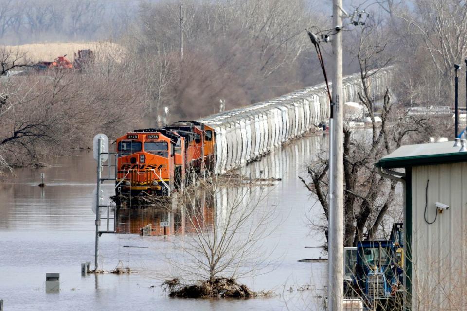 Photo credit: Nati Harnik/AP/REX/Shutterstock