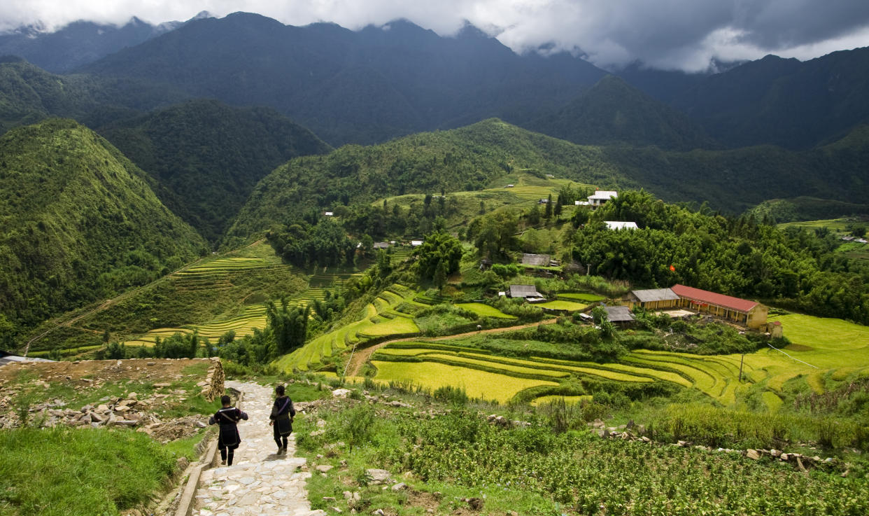 Hmong villagers walking through the rice fields in the mountain enclave of Sapa in northern Vietnam. (Photo: Getty)