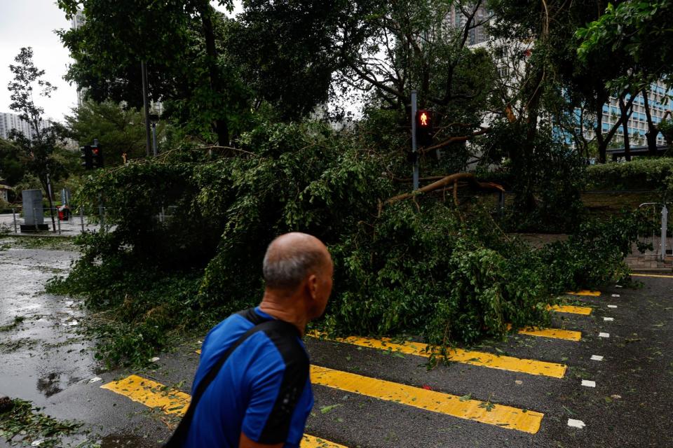 颱風蘇拉1日晚間侵襲香港，當地傳出上百起路樹倒塌事件，共有60多人受傷就醫。路透社