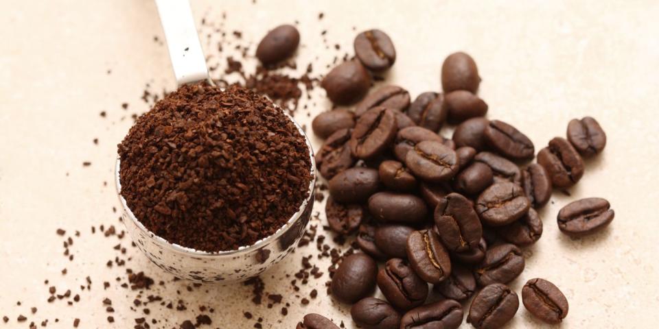 <p>Once you've had your morning cup of coffee, don't get rid of the grounds but use them to fertilise your soil. They are full of plant goodness, including antioxidants, potassium, phosphor and nitrogen. Top tip: make sure they are dry when you add them to your soil as wet coffee grounds can cause fungus.</p>