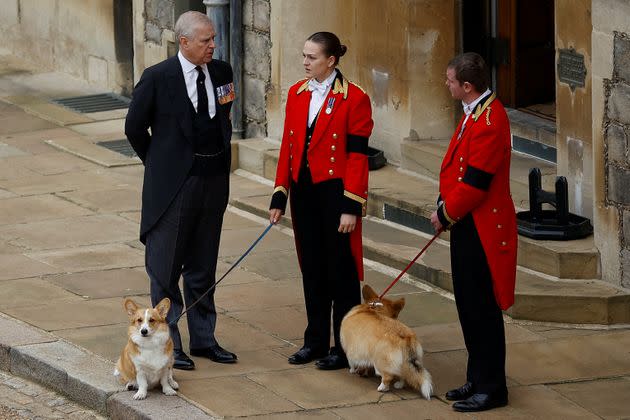 Britain's Prince Andrew with royal corgis as they await the cortege on the day of the state funeral and burial of Queen Elizabeth. (Photo: Peter Nicholls via Reuters)