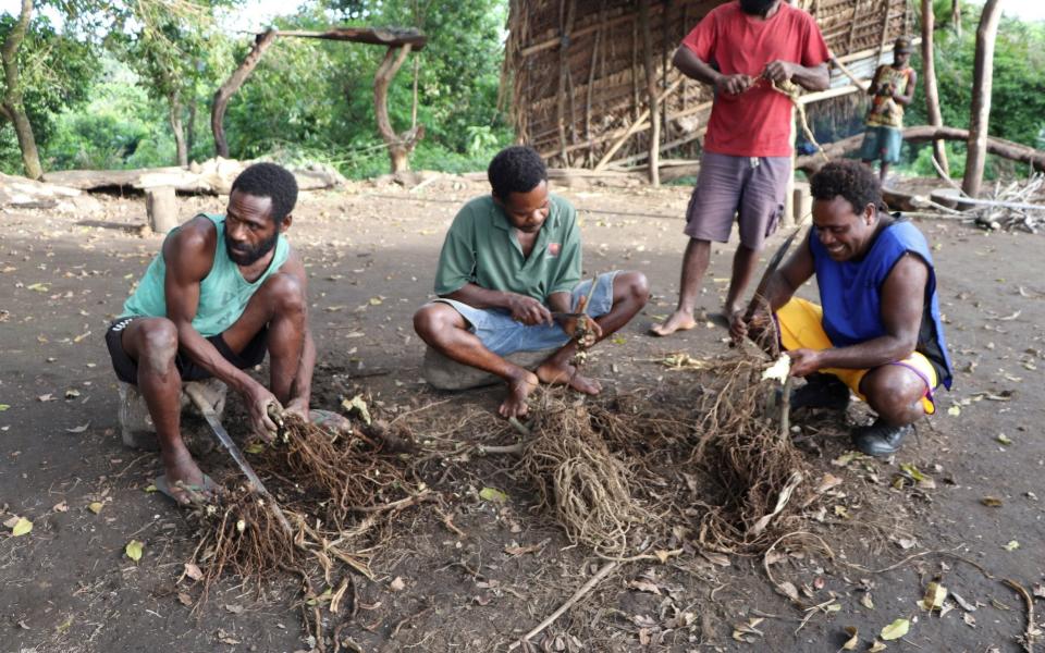 Islanders prepare the roots of the pepper tree to make the narcotic drink kava for the funerary ceremony - Jean-Pascal Wahe /Reuters