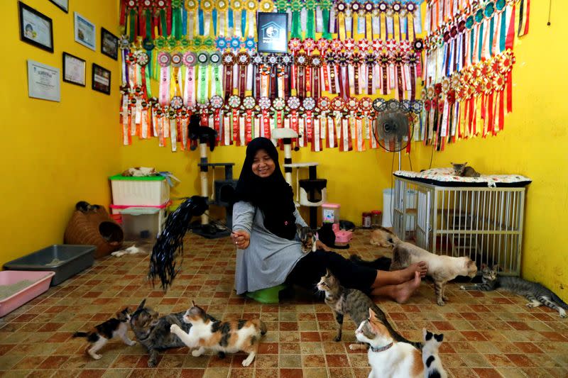 Dita Agusta, owner of a cat shelter called "Rumah Kucing Parung", plays with her cats in Bogor