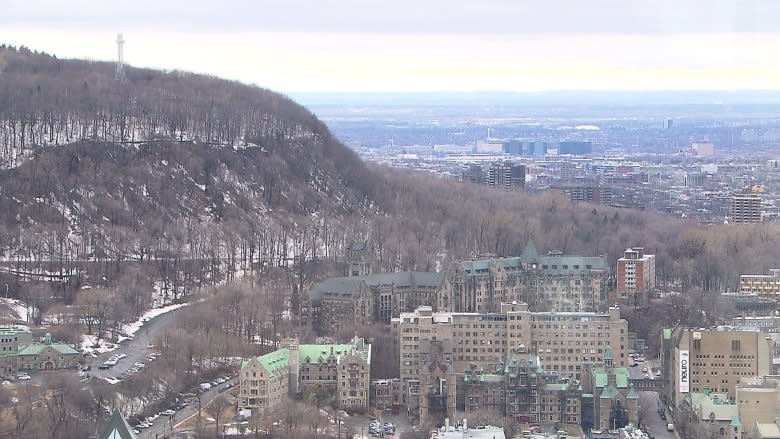 'It is the heart of Montreal': Group pushes for Mount Royal to become UNESCO World Heritage Site