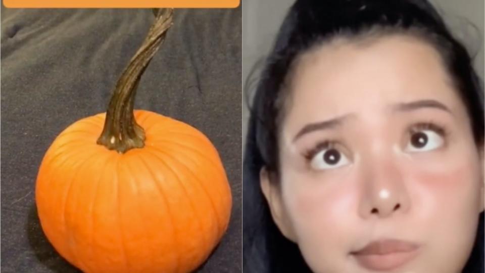 World Record Pumpkin Tiktok