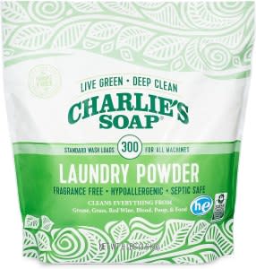 best laundry detergent charlies soap powder