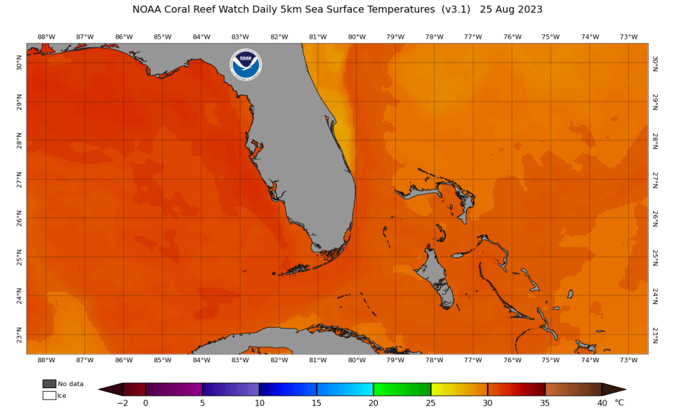 Sea surface temperature plot for Florida immediately before Idalia (8/25)