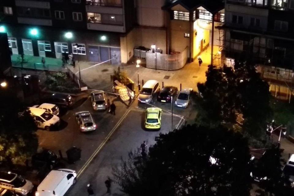 Police were called to reports of men fighting in Battersea (Peter Banfalvi)