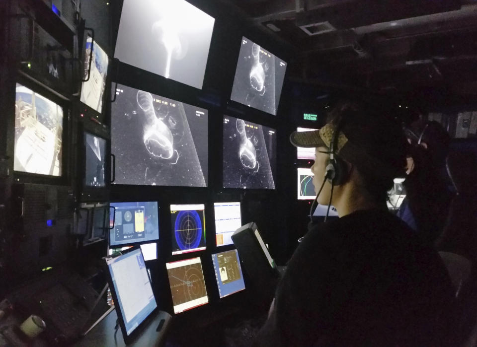 In this 2015 photo provided by the Monterrey Bay Aquarium Research Institute, Kakani Katija works in the remote operated vehicle control room on MBARI’s research vessel Western Flyer as the DeepPIV system illuminates a giant larvacean. The mucus structure the creature builds include two heart-like chambers that act as a maze for the food that drifts in, except there’s only one way for them to go: into the larvacean’s mouth. (Kim Reisenbichler/MBARI via AP)