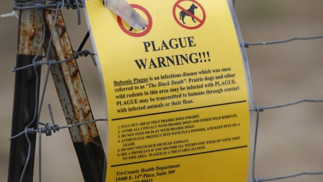 A bubonic plague warning sign is displayed at a parking lot.