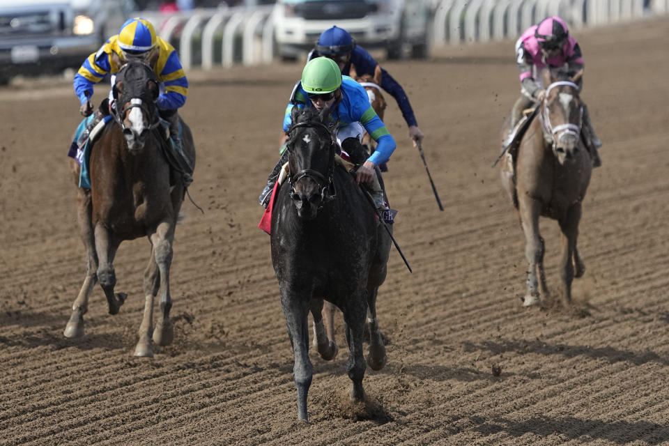 Irad Ortiz Jr. rides Goodnight Olive to win the Breeders' Cup Filly and Mare Sprint horse race Saturday, Nov. 4, 2023, at Santa Anita Park in Arcadia, Calif. (AP Photo/Mark J. Terrill)